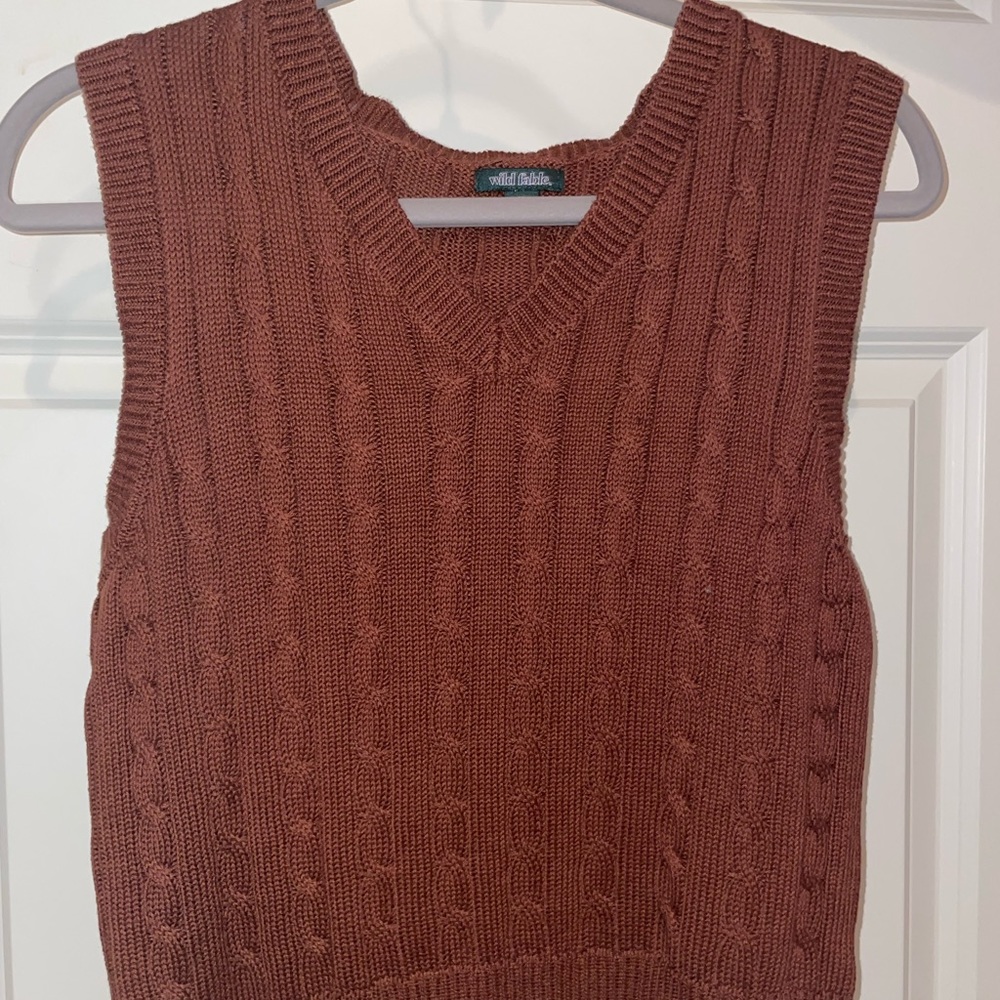 Rusty orange Wild Fable sweater vest